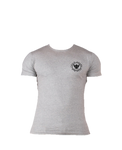 TI FlexFit Grey T-Shirt (Small Logo)