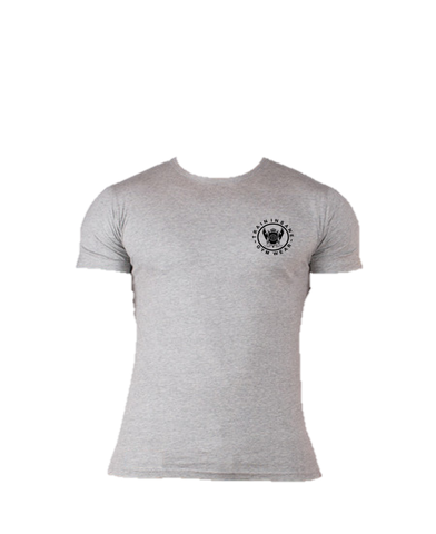 TI FlexFit Grey T-Shirt (Small Logo)
