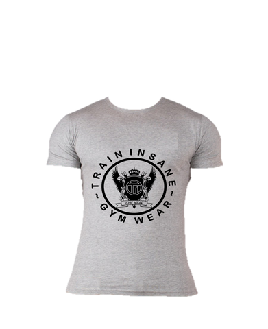 TI FlexFit Grey T-Shirt (Large Logo)